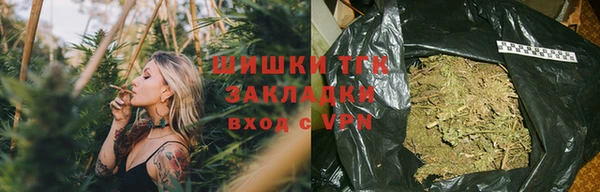 крисы Баксан