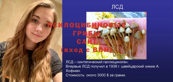 spice Балабаново