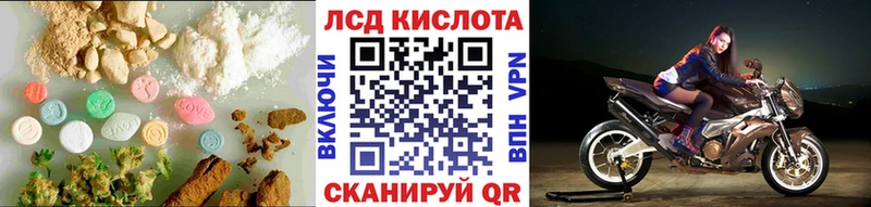 Купить закладки  Ставрополь  ЛСД экстази кислота 