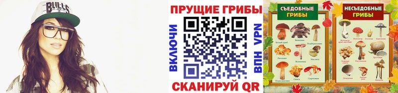 Псилоцибиновые грибы MAGIC MUSHROOMS  Купить  Ставрополь 